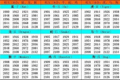 02属什么|02年属什么生肖 2002年属马是什么命